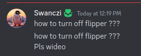 How to Turn Off Flipper